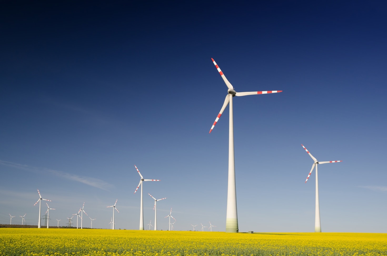 Strategic Partnerships for Transformative Impact